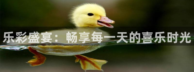 彩神零能源集团