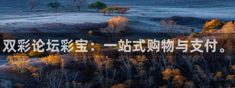 彩神体育凯捷代理注册：双彩论坛彩宝：一站式购物与支付。