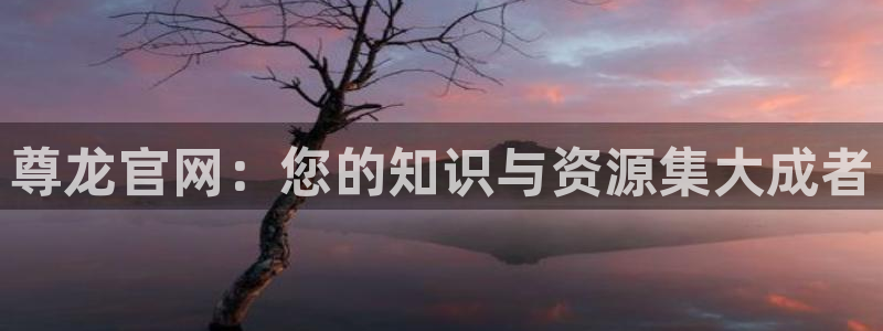 彩神4官网：尊龙官网：您的知识与资源集大成者