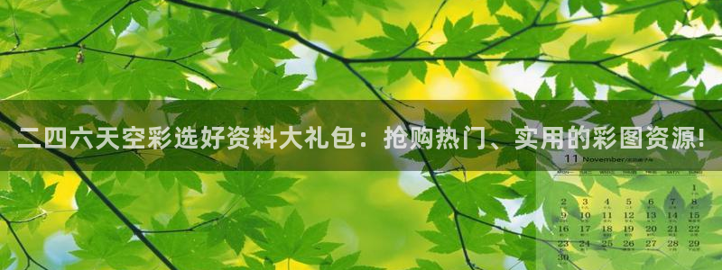 彩神体育注册登录入口：二四六天空彩选好资料大礼包：抢购热门、实用的彩图资源!