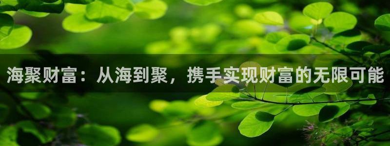 彩神体育娱乐注册链接：海聚财富：从海到聚，携手实现财富的无限可能