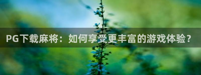 彩神凯捷平台：PG下载麻将：如何享受更丰富的游戏体验？